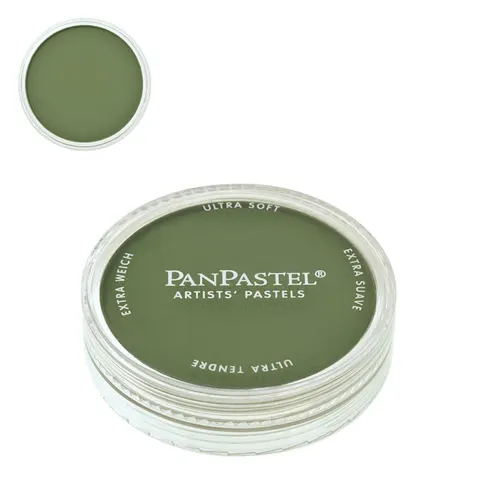Pastela sucha PanPastel 9 ml - Chromium Oxide Green Shade 660.3