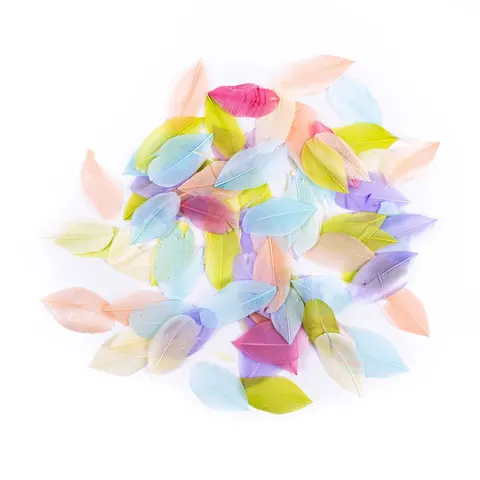 Piórka naturalne gęsie barwione dpCraft 5 g, 6 cm - pastel