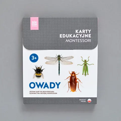 RÓŻOWA WIEŻA - Karty edukacyjne - Owady