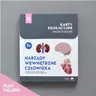 RÓŻOWA WIEŻA - Karty edukacyjne - Narządy wewnętrzne człowieka + figurki