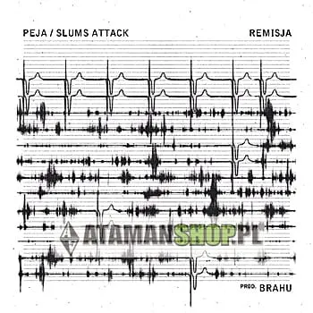 PEJA płyta CD Slums Attack Remisja