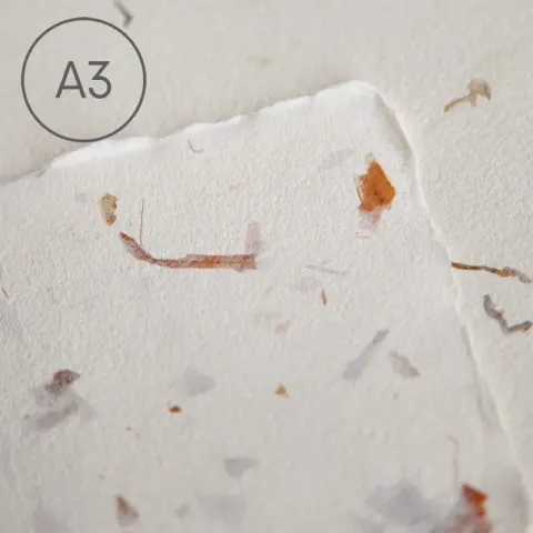 Papier czerpany A3 gładki Cebula