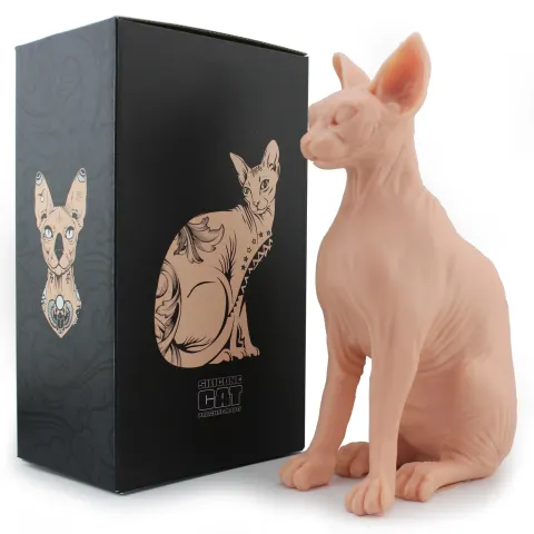 Silikonowy model do nauki tatuażu kot sphynx