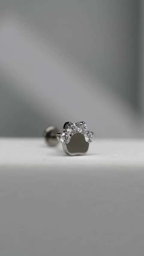 Labret tytanowy 'crystal paw'