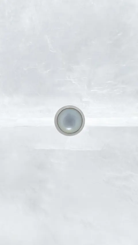 Labret tytanowy 'white pearl shell'