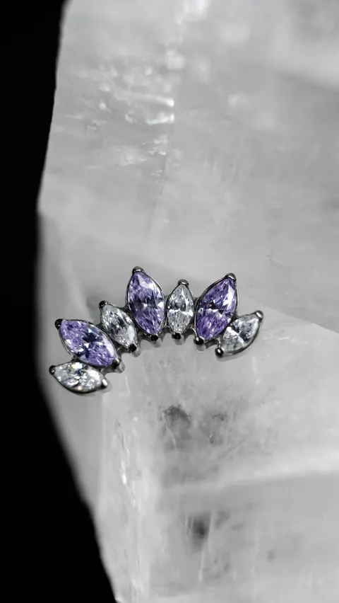 Labret tytanowy 'cluster 7 marquess purple clear'