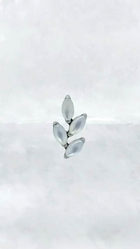 Labret tytanowy 'crystal twig white shell'