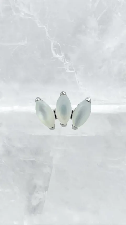 Labret tytanowy 'marquess white shell'