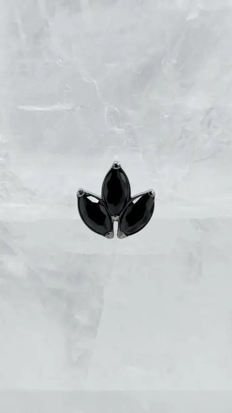 Labret tytanowy 'marquess kristol black'