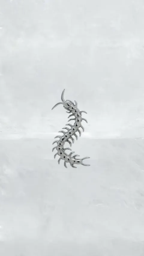 Labret tytanowy 'scolopendra'