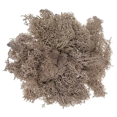 Mech dpCraft 30 g - brązowy