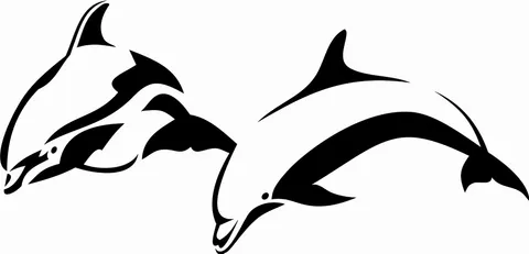 Naklejka na ścianę Delfiny 17