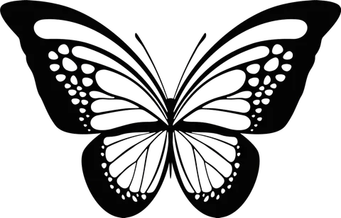 Naklejka na ścianę Motyl 55