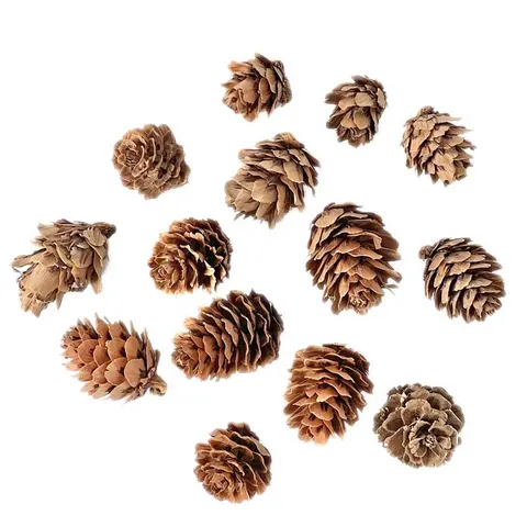 Mini szyszki dpCraft 25 g naturalne