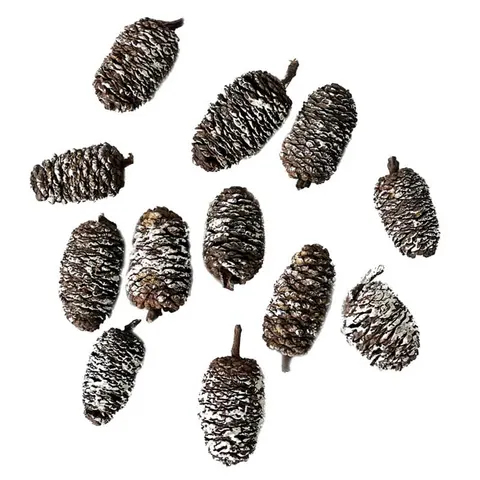 Szyszki mini naturalne dpCraft 12 szt. bielone