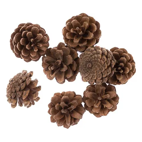 Szyszki naturalne dpCraft 8 szt.