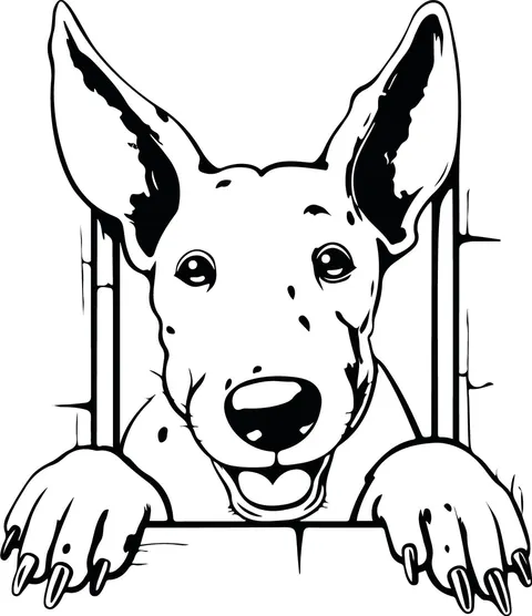 Naklejka ścienna BULL TERRIER 88