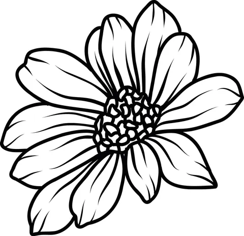 Naklejka na ścianę GERBERA 9