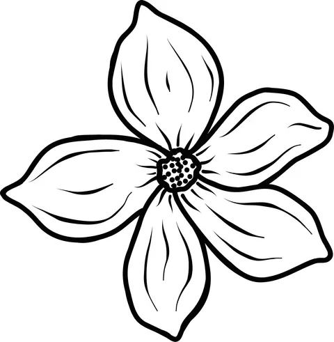 Naklejka na ścianę JAŚMIN 12