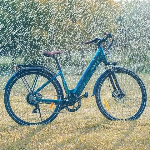 Fiido C11 Pro Emerald Blue 28″