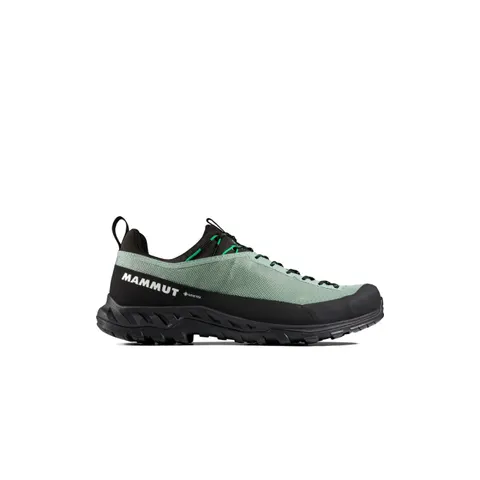 Buty męskie Mammut Alnasca IV Low GTX DEEP SILVER SAGE-PINEA