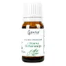 Natur Planet Olejek eteryczny z drzewa herbacianego 10ml