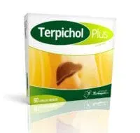 TERPICHOL PLUS, kapsułki miękkie, 60 szt.