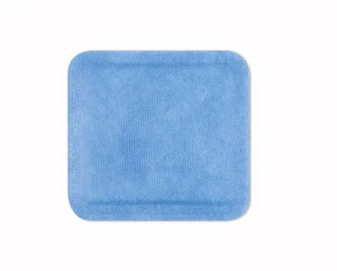 BWISE, Opatrunek superchłonny / Superabsorbent non border, 10 x 10 cm, 1 szt.