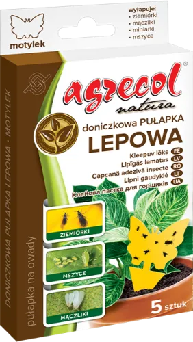 Pułapka lepowa na ziemiórki motyl 5szt.