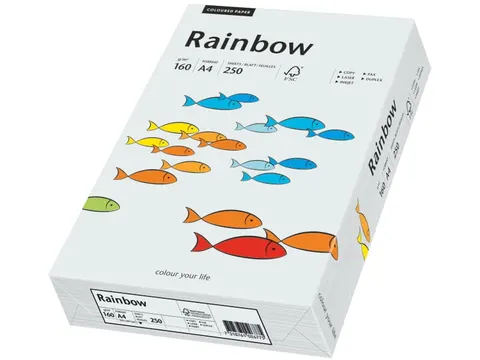 Papier ksero j.szary A4 Rainbow 160g R93 a1/5