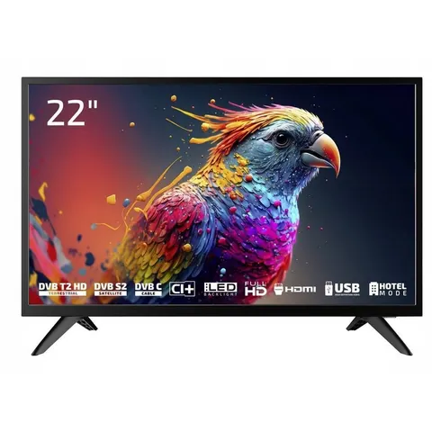 Telewizor Dyon LED enter 22 PRO X2 22" Full HD tryb hotelowy CI+ HDMI USB