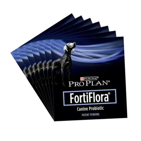FortiFlora Canine Probiotic 1 szaszetka 1g (pies)