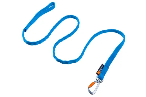 BUNGEE LEASH - Smycz amortyzowana 2 m / 23 mm - canicross - niebieska