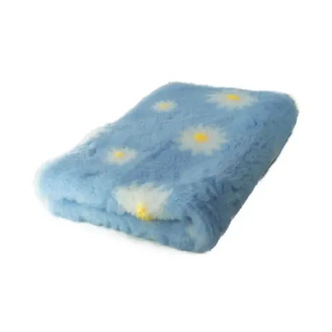 Drybed Błękitny w Stokrotki