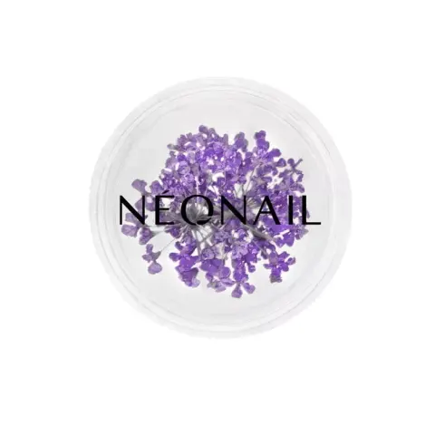 Neonail Ozdoba Kwiaty Violet - 06