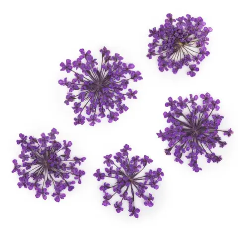 MollyLac Ozdoba Suszone Kwiatki Purple 5szt