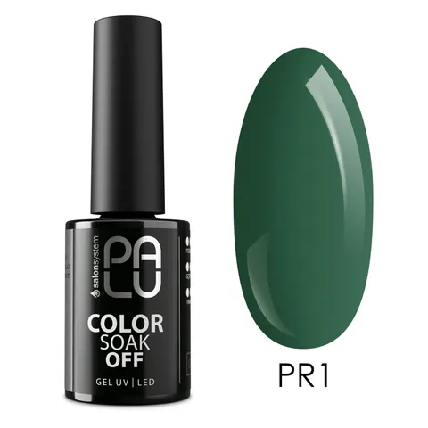 Palu Prague PR1 Lakier Hybrydowy 11 g