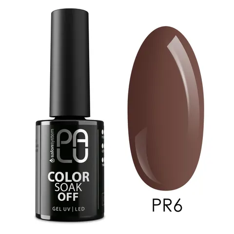 Palu Prague PR6 Lakier Hybrydowy 11 g