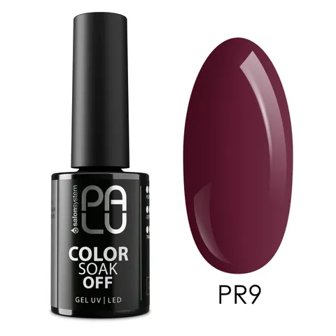 Palu Prague PR9 Lakier Hybrydowy 11 g