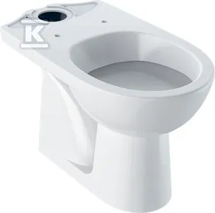 GEBERIT Miska stojąca WC SELNOVA do spłuczki nasadzanej, lejowa, B36cm, H39cm, T67cm, odpływ pionowy