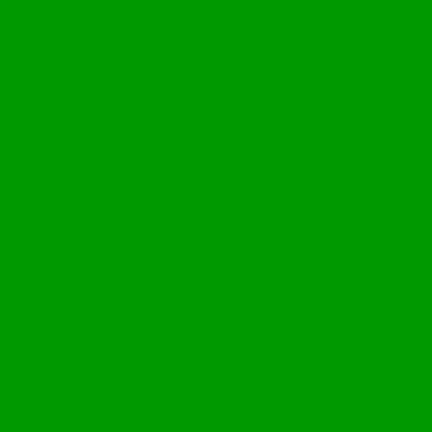 SLS-HT 139 - Primary Green 1,22 x 4m, filtr barwny FOMEI, rola