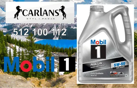 Mobil 5W50 FS X2 4L