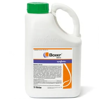 Boxer 800 EC 5l