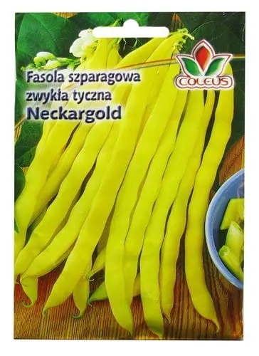 Coleus Fasola tyczna Neckargold 10g