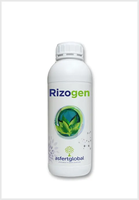 RIZOGEN 1L (UKORZ)