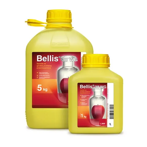 Bellis 38 WG 5kg