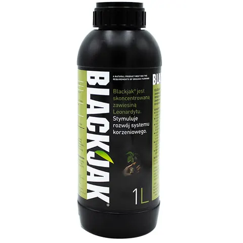Blackjak 1l