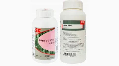 Rubin SX 50 SG 150g + Trend 90 EC 150ml x 2szt