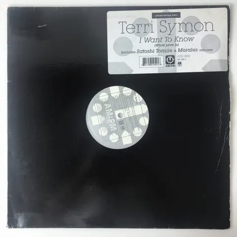Terri Symon - I Want To Know LP 5810591 VG