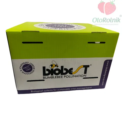 Trzmiele BIOBEST ul (tylko odbiór osobisty)